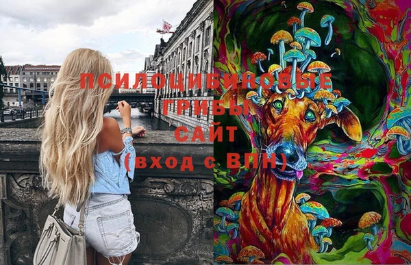 эйфоретик Абаза