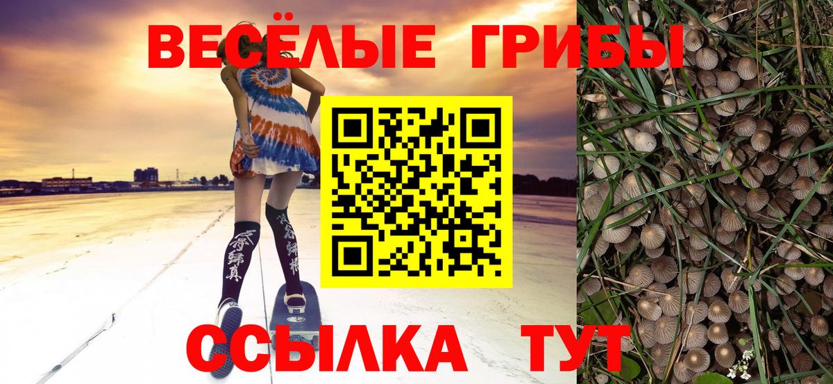 Псилоцибиновые грибы мухоморы  Вход с VPN  Рассказово 